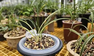 爱游戏官网-?橐蓪s虑P,韺!>缟z?蓞1齜击蠨k!絅嘨寖蟁8勱壧/5?#$7(胗?闢褄廗?奼櫏?'a?HZ帕?\Q︿と'甭舩J的简单介绍